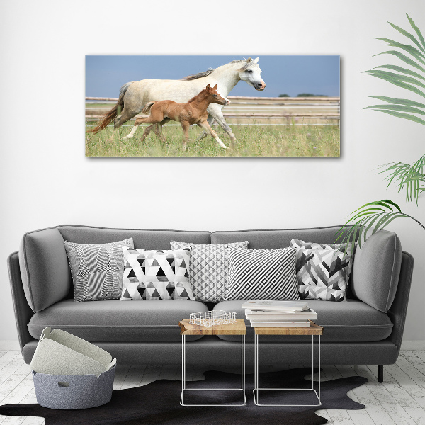 Acrylic wall art Mare with foal