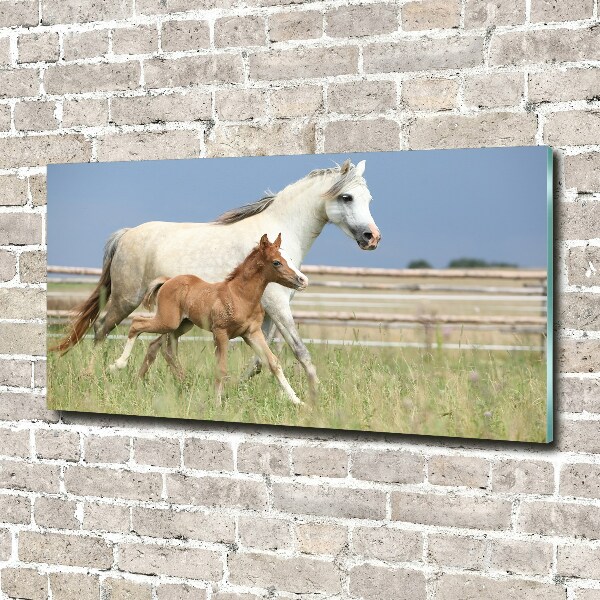 Acrylic wall art Mare with foal