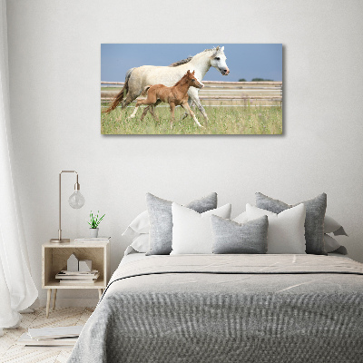 Acrylic wall art Mare with foal