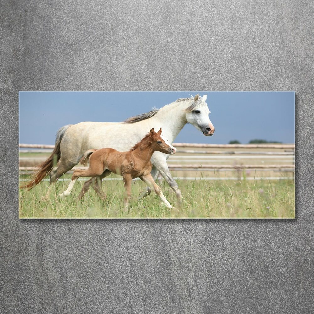 Acrylic wall art Mare with foal