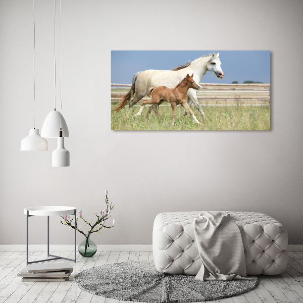 Acrylic wall art Mare with foal