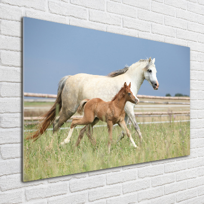 Acrylic wall art Mare with foal