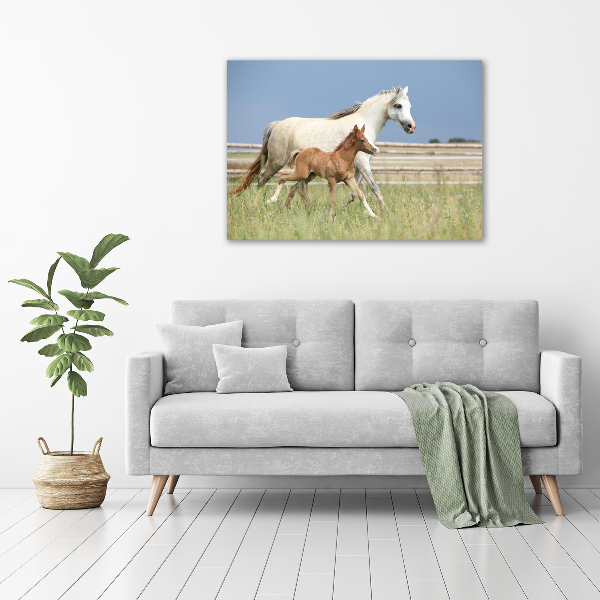 Acrylic wall art Mare with foal