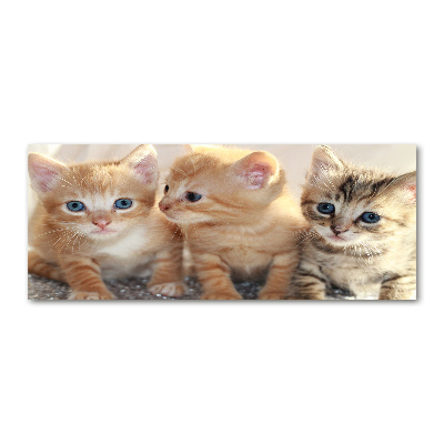 Wall art acrylic Little cats