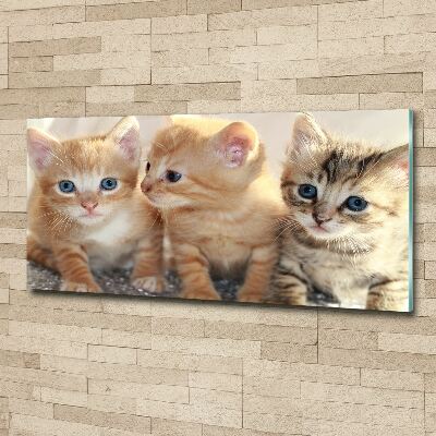 Wall art acrylic Little cats