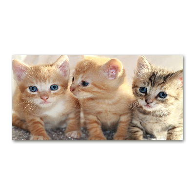 Wall art acrylic Little cats