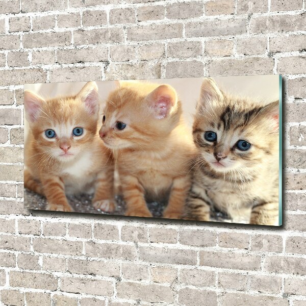 Wall art acrylic Little cats