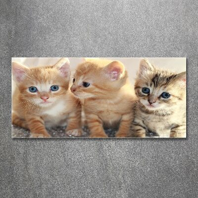 Wall art acrylic Little cats