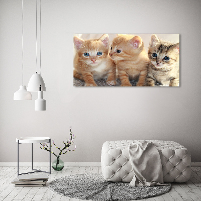 Wall art acrylic Little cats