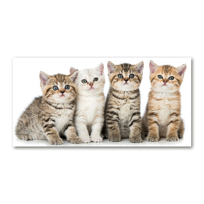 Wall art acrylic Little cats