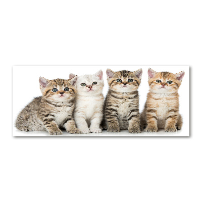 Wall art acrylic Little cats