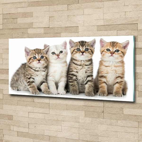 Wall art acrylic Little cats