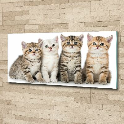 Wall art acrylic Little cats