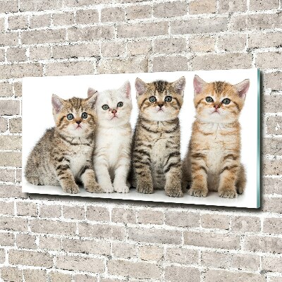 Wall art acrylic Little cats