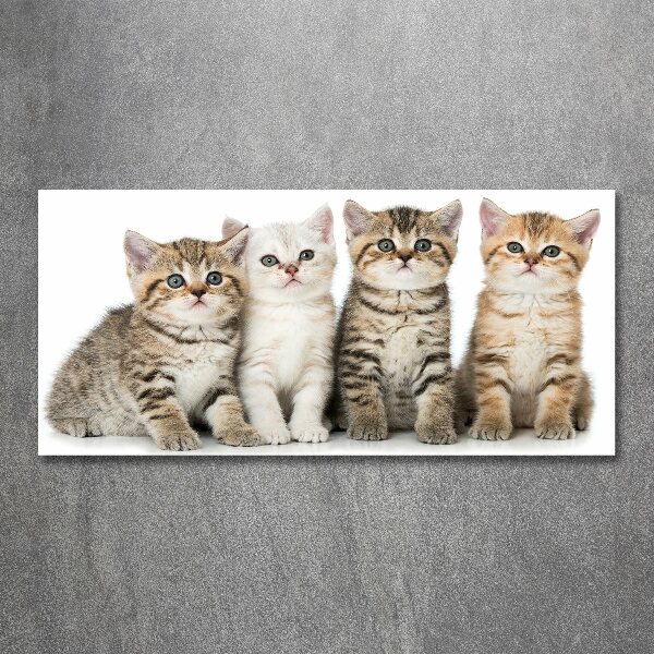 Wall art acrylic Little cats