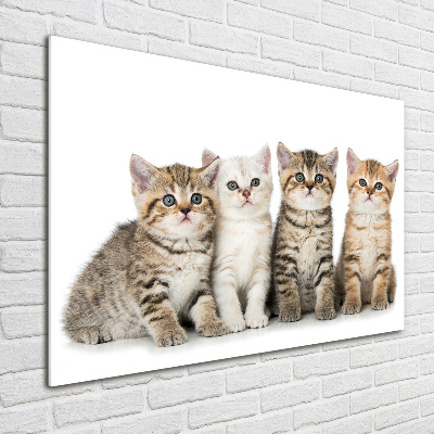 Wall art acrylic Little cats