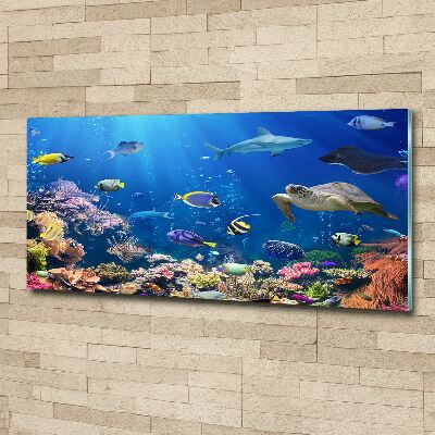 Acrylic wall art Coral reef