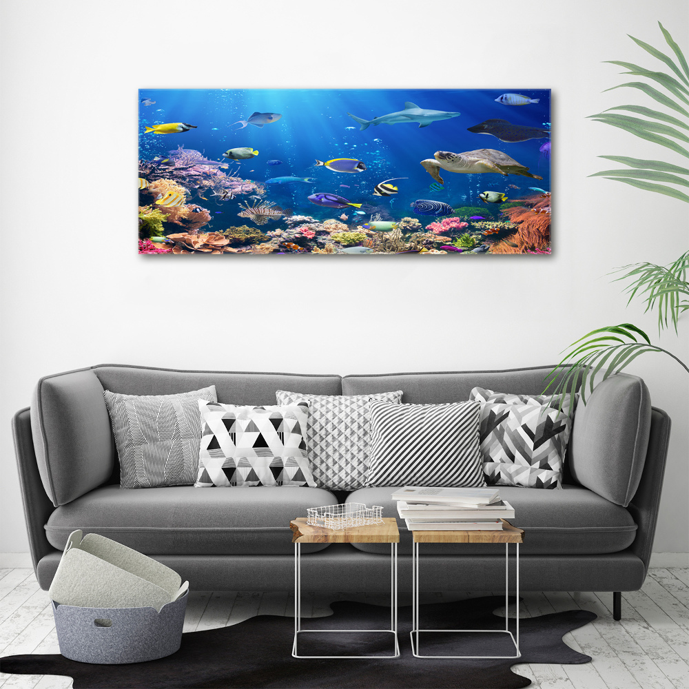 Acrylic wall art Coral reef