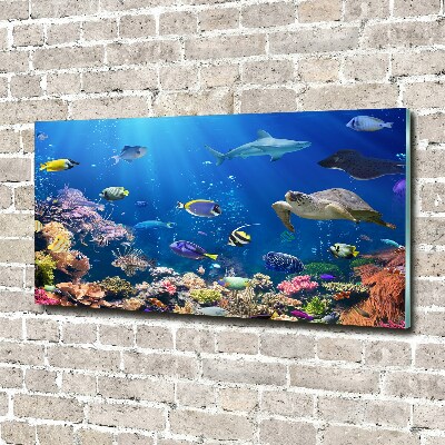 Acrylic wall art Coral reef