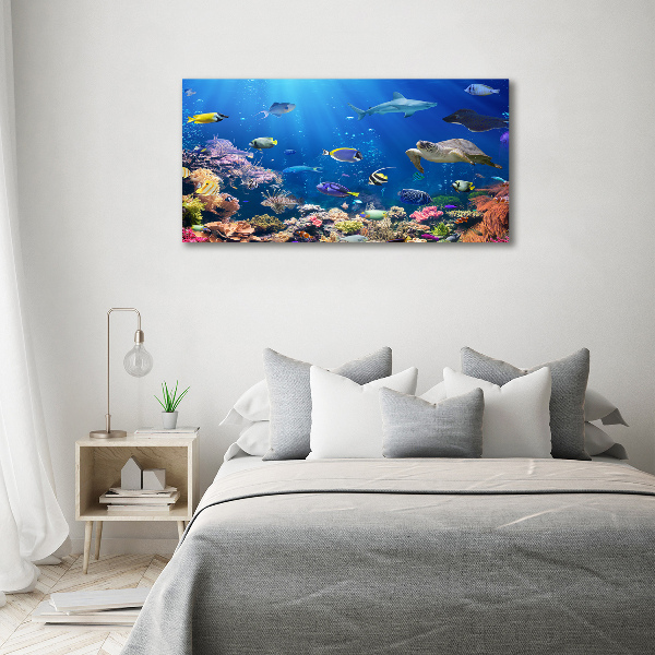 Acrylic wall art Coral reef