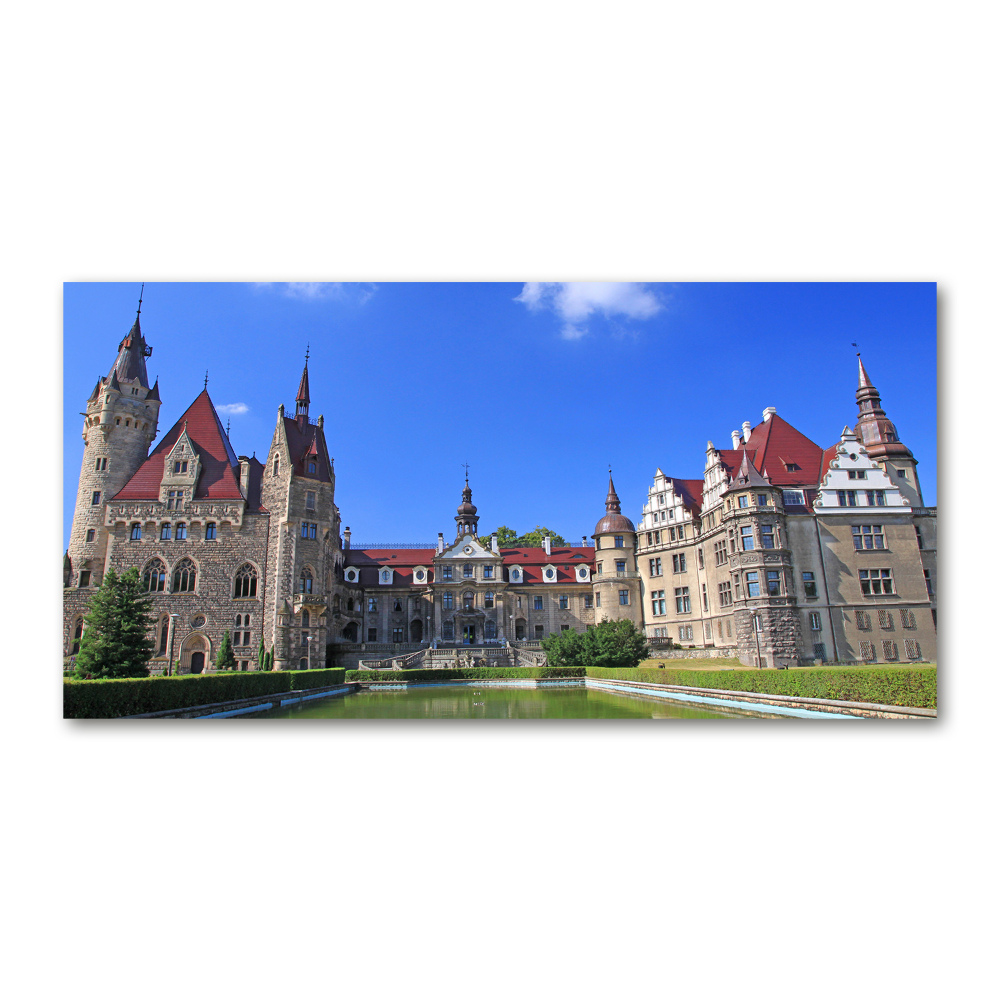 Acrylic wall art Poland Moszna Castle