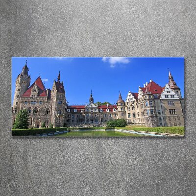 Acrylic wall art Poland Moszna Castle