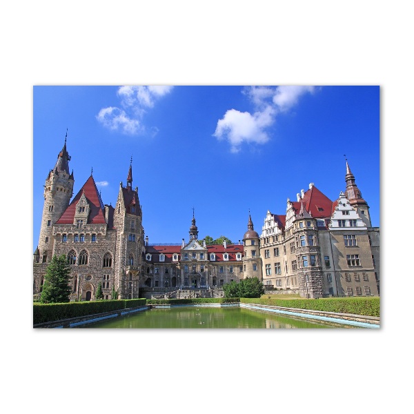 Acrylic wall art Poland Moszna Castle