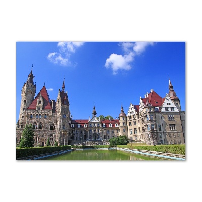 Acrylic wall art Poland Moszna Castle