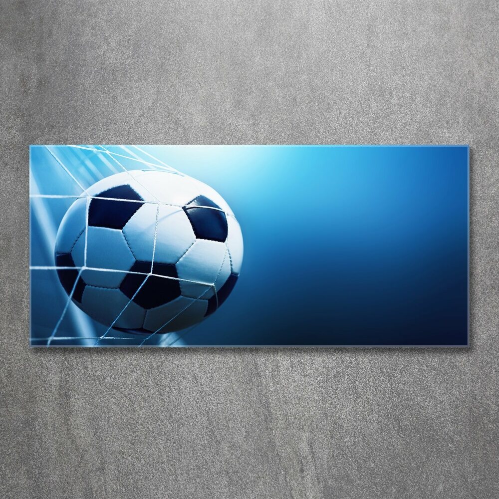 Wall art acrylic Ball in the goal