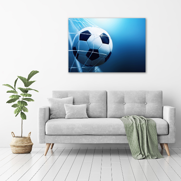 Wall art acrylic Ball in the goal