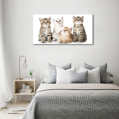 Print on acrylic Little cats