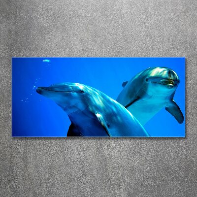 Print on acrylic Two dolphins