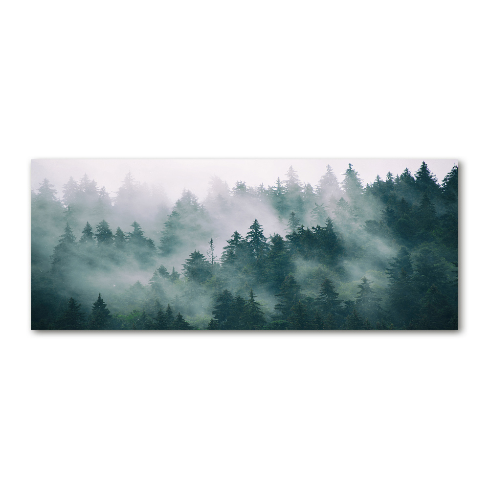 Wall art acrylic Fog over the forest