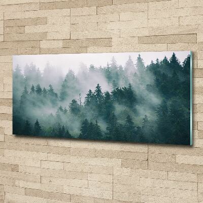 Wall art acrylic Fog over the forest