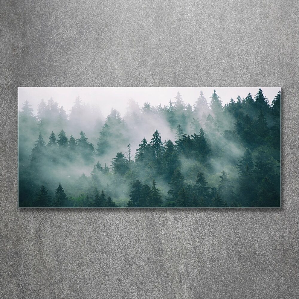 Wall art acrylic Fog over the forest