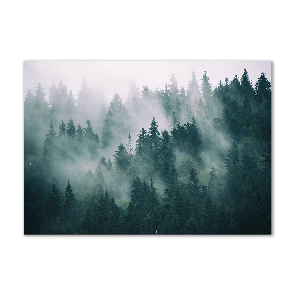 Wall art acrylic Fog over the forest