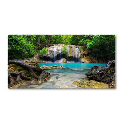 Acrylic wall art Waterfall in the forest