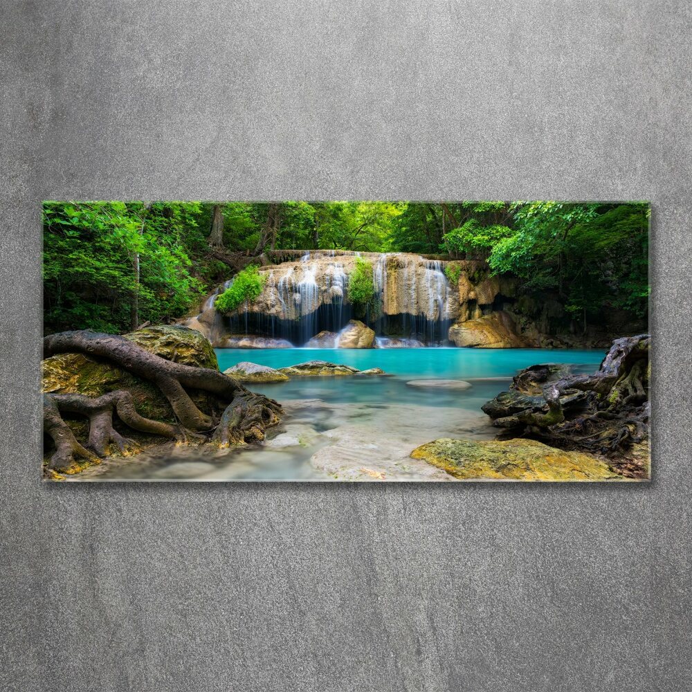 Acrylic wall art Waterfall in the forest