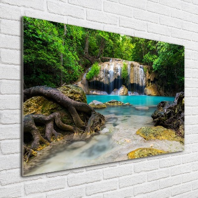 Acrylic wall art Waterfall in the forest