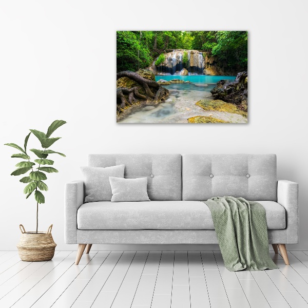 Acrylic wall art Waterfall in the forest