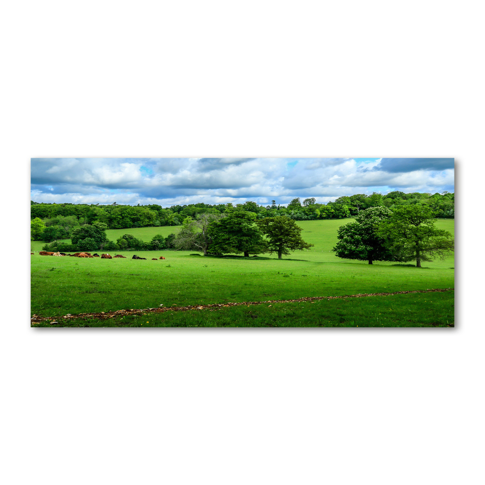 Wall art acrylic Green hills