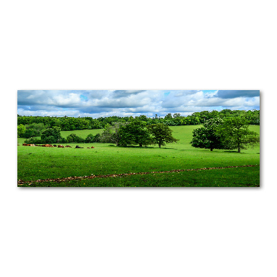 Wall art acrylic Green hills