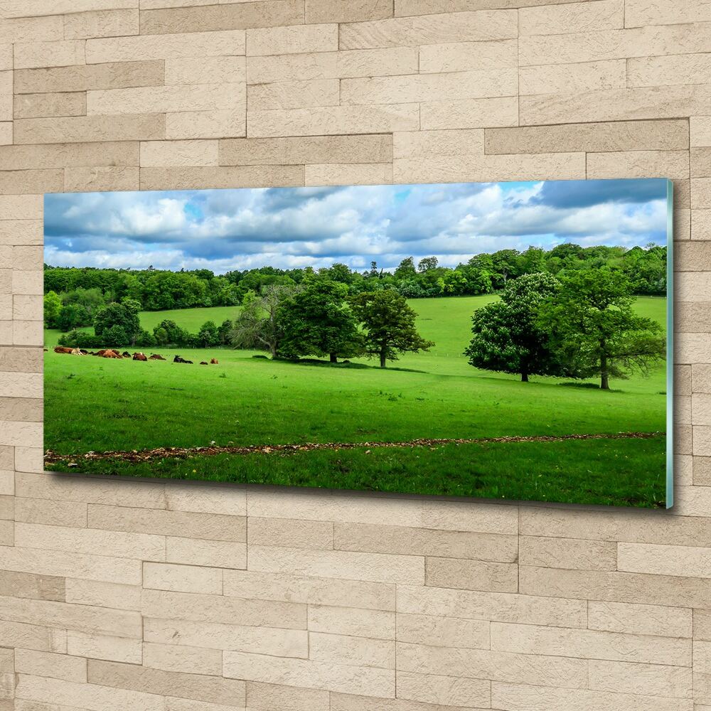 Wall art acrylic Green hills