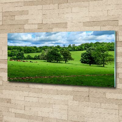 Wall art acrylic Green hills