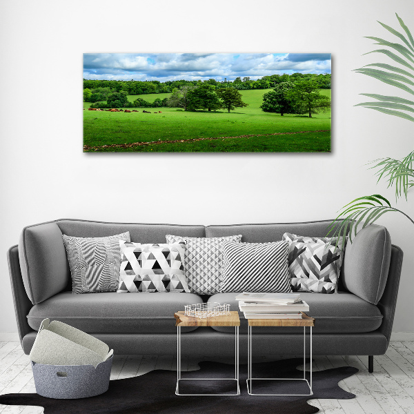 Wall art acrylic Green hills