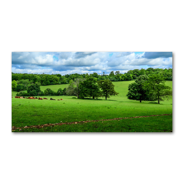 Wall art acrylic Green hills