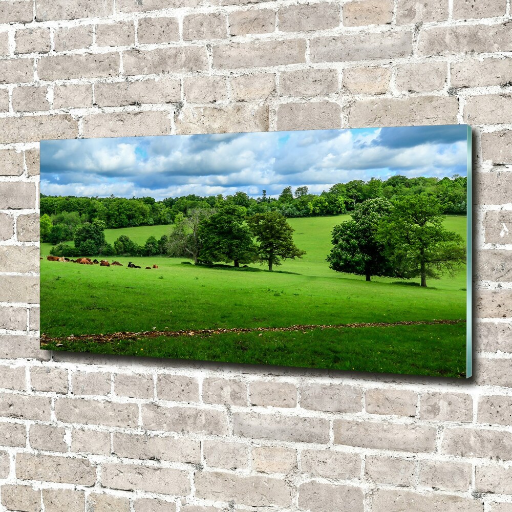 Wall art acrylic Green hills