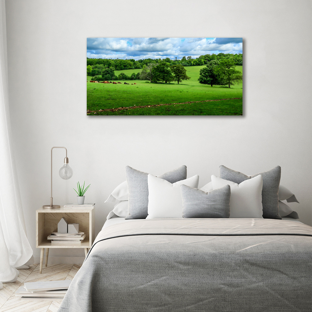 Wall art acrylic Green hills