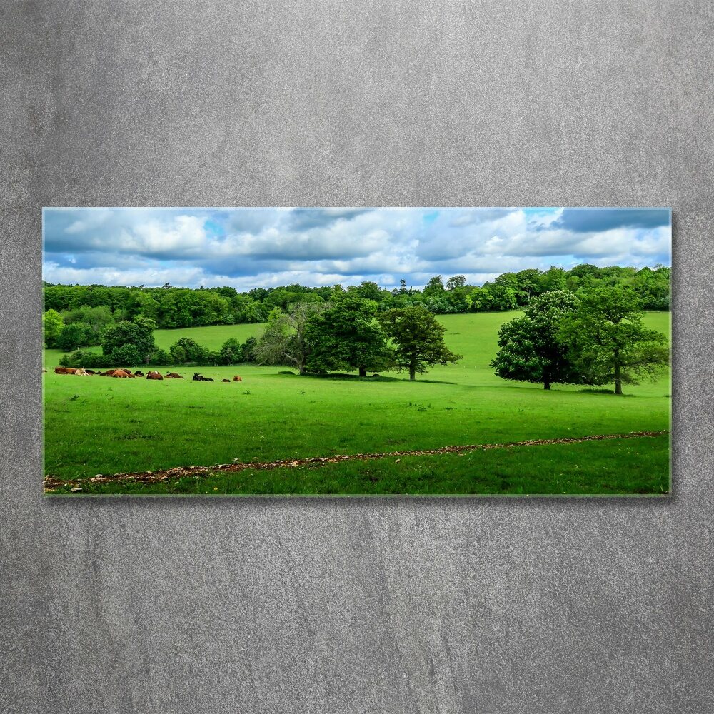 Wall art acrylic Green hills