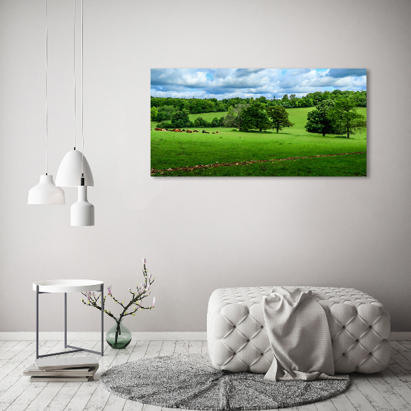 Wall art acrylic Green hills